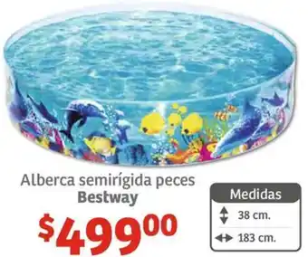 Soriana Híper Alberca semirígida peces Bestway oferta