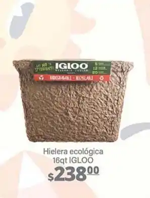 Igloo - hielera ecológica