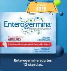 Farmacia San Pablo Enterogermina - adultos 12 capsulas oferta
