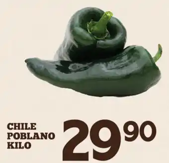 Chile Poblano Kilo