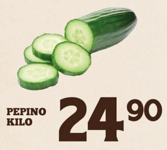 Alsuper Pepino Kilo oferta
