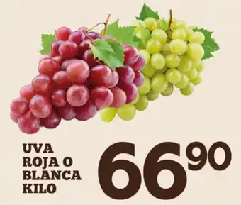Alsuper Uva Roja o Blanca Kilo oferta