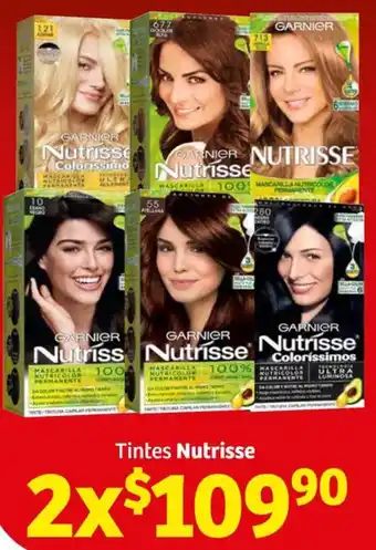 Tintes Nutrisse 2x