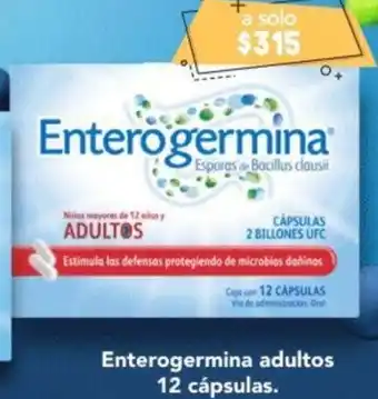 Farmacia San Pablo Enterogermina adultos 12 cápsulas oferta