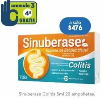 Farmacia San Pablo Sinuberase Colitis 5ml 20 ampolletas oferta