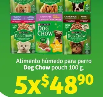 Soriana Súper Alimento húmedo para perro Dog Chow pouch 100 g. x 5 oferta