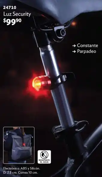 Luz Security