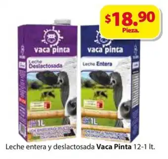 Zorro Leche entera y deslactosada Vaca Pinta 12-1 It. oferta
