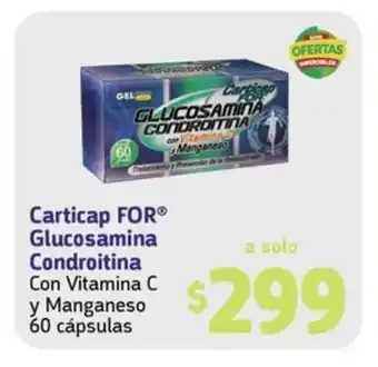 Farmacias YZA Carticap FOR Glucosamina Condroitina Con Vitamina C y Manganeso 60 cápsulas oferta