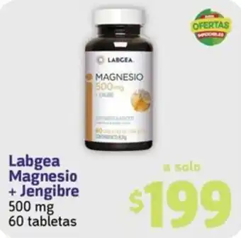 Farmacias YZA Labgea Magnesio + Jengibre 500 mg 60 tabletas oferta