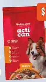 Tiendas Neto Acti can - alimento seco para perro adulto oferta