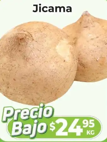 HEB Jicama oferta