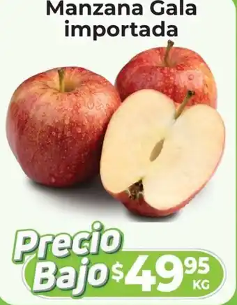 HEB Manzana Gala importada oferta