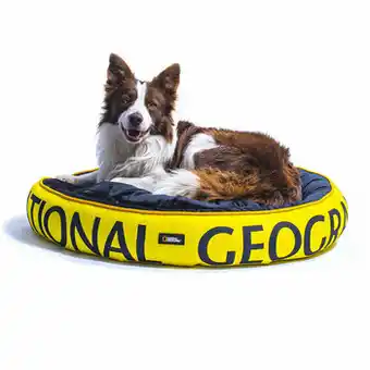 National Geographic Apolo Cama para Perro Amarilla