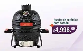 Asador de cerámica para carbón