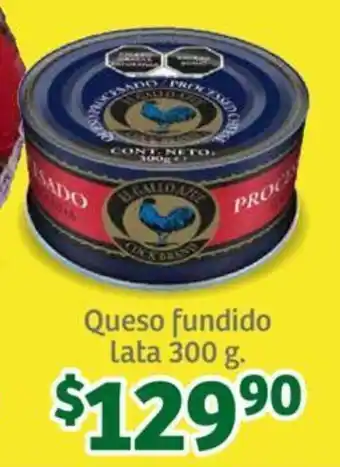 Queso fundido lata 300 g.