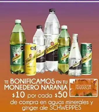 Agua schweppes