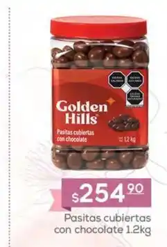 Golden hills - pasitas cubiertas con chocolate