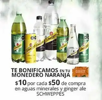Agua schweppes
