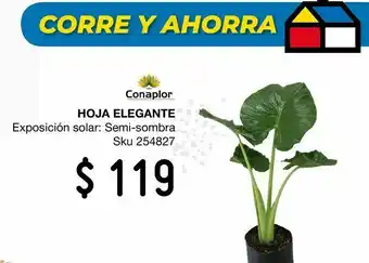 Sodimac Homecenter Planta hoja elegante oferta