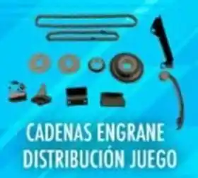 CADENAS ENGRANE DISTRIBUCIÓN JUEGO