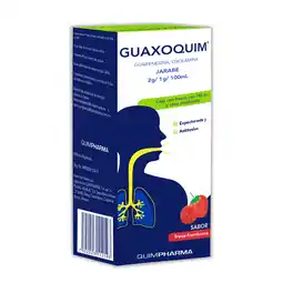 Farmacias YZA GUAXOQUIM GUAIFEN/OXOLAM ADULTO 140ML oferta