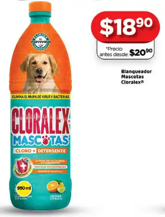 Blanqueador Nascotas Cloratex 950ml