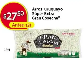 Walmart Express Arroz Uruguayo Súper Axtra Gran Cosecha 1kg oferta