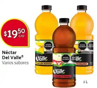 Néctar Del Valle 1L