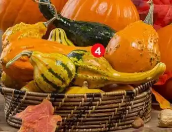 Walmart Express Calabaza Ornamental oferta