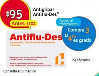 Antigripal Antiflu-Des 24 Cápsulas