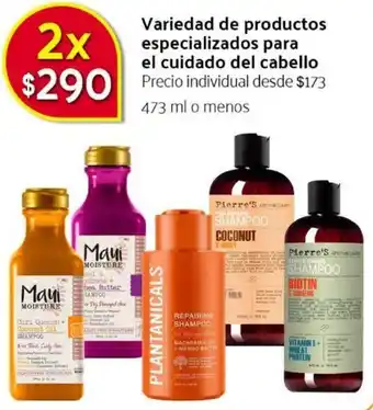 Variedad de Productos Especializado para el Cuidado del Cabello 473ml