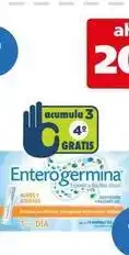 Farmacia San Pablo Enterogermina - 4b ufc 10 ampolletas oferta