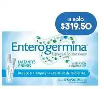 Farmacia San Pablo Enterogermina - 2b ufc 20 ampolletas oferta