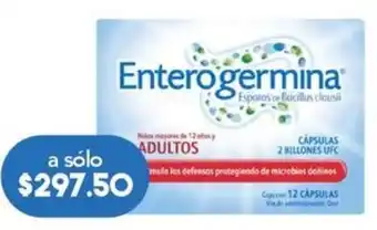 Farmacia San Pablo Enterogermina Adultos 12 cápsulas oferta