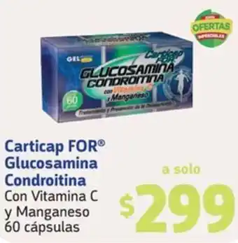 Carticap FOR Glucosamina Condroitina Con Vitamina C y Manganeso 60 cápsulas