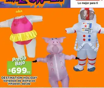 Disfraces inflables