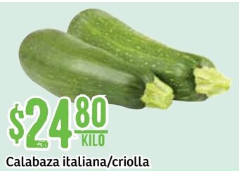 Soriana Súper Calabaza Italiana/Criolla oferta