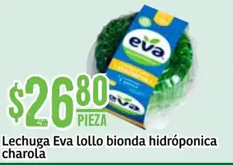 Lechuga Eva Lollo Bionda Hidróponica Charola