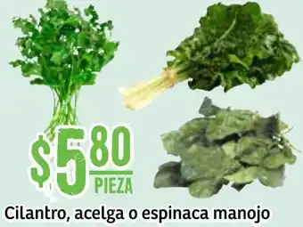 Soriana Súper Cilantro, Acelga o Espinaca Manojo oferta
