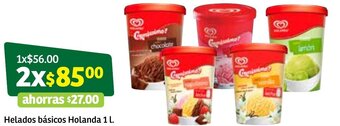 Helados básicos Holanda 1L