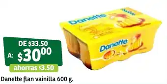 Danette Flan Vainilla 600g