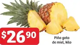 Piña gota de miel, kilo
