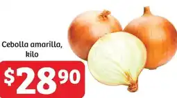 Soriana Híper Cebolla amarilla, kilo oferta