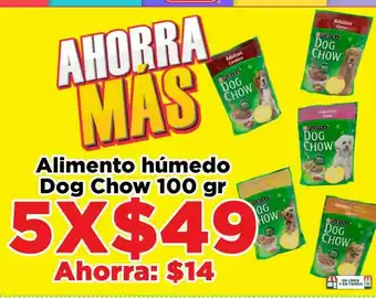 HEB Alimento humedo dog chow 100 gr oferta