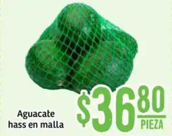Aguacate Hass en Malla