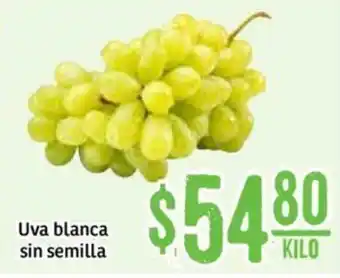 Uva Blanca sin Semilla