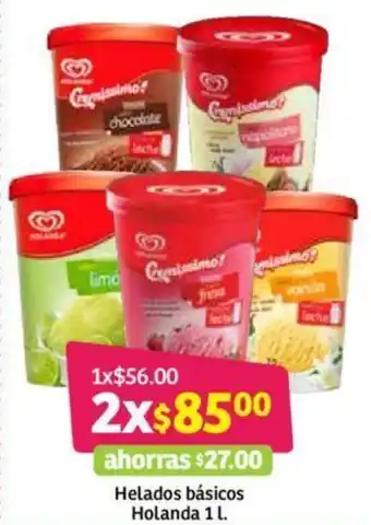 Helados básicos Holanda 1L