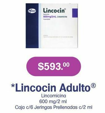 Lincocin ad 600mg/2ml jgp caj c/6