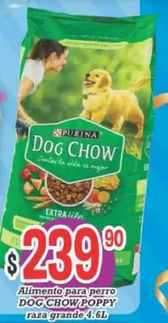 Alimento para Perro Dog Chow Poppy Raza Grande 4.6L
